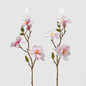 MAGNOLIA OLIS - 38CM